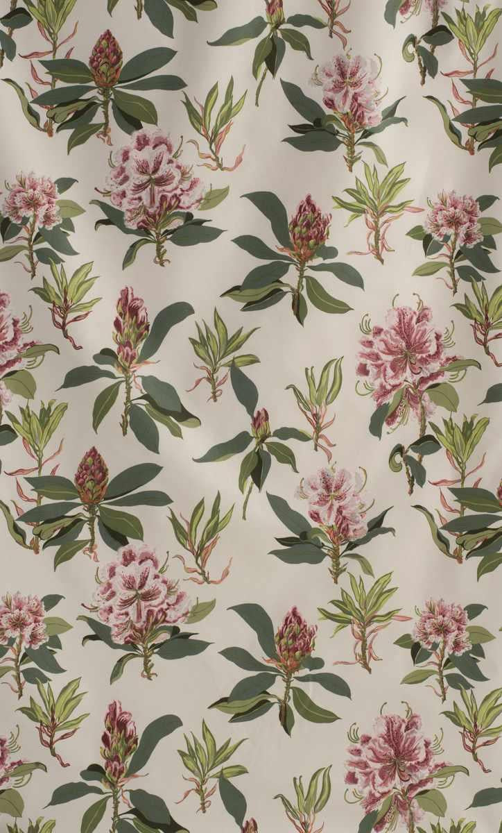 Rhododendron Spring Chintz