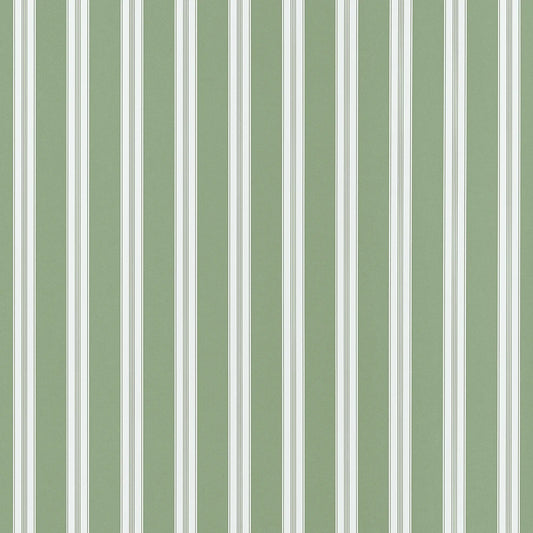 Payton Stripe