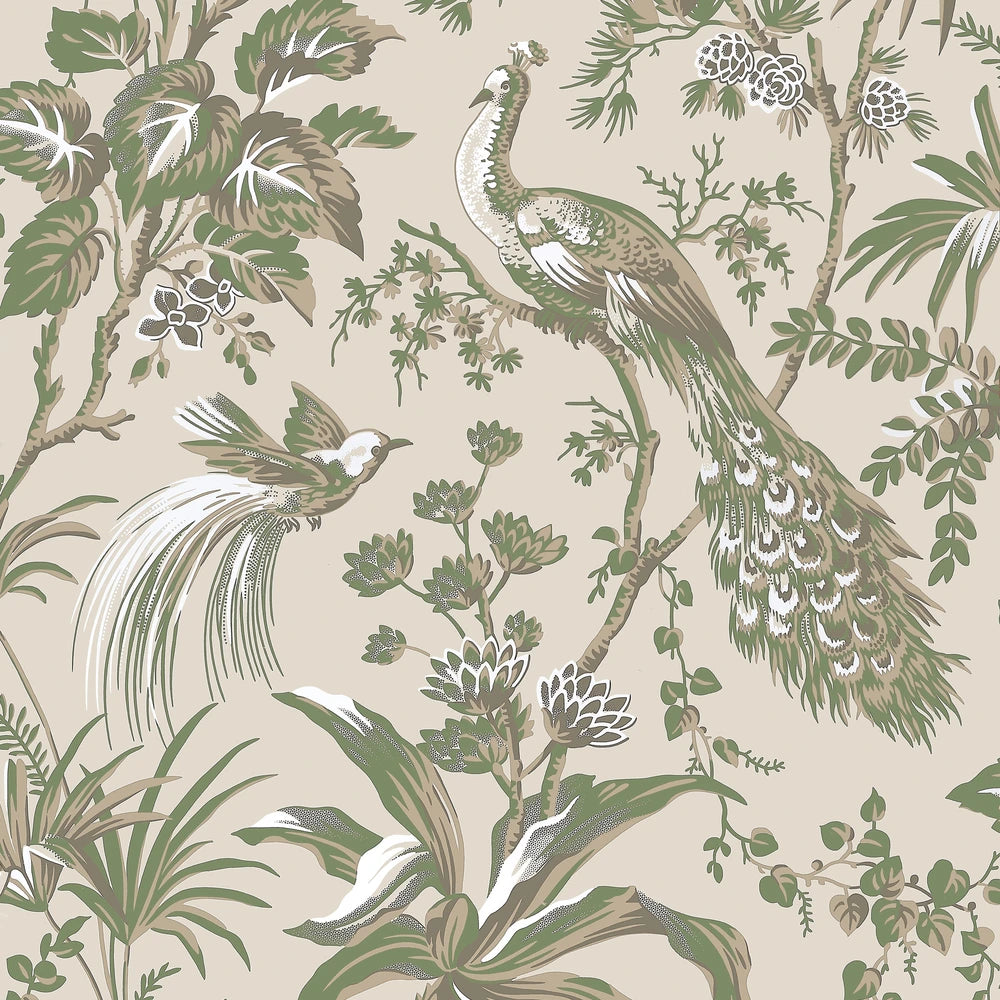 Peacock Toile