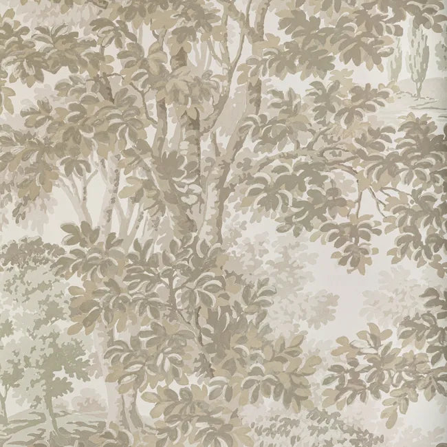Woodland Forest