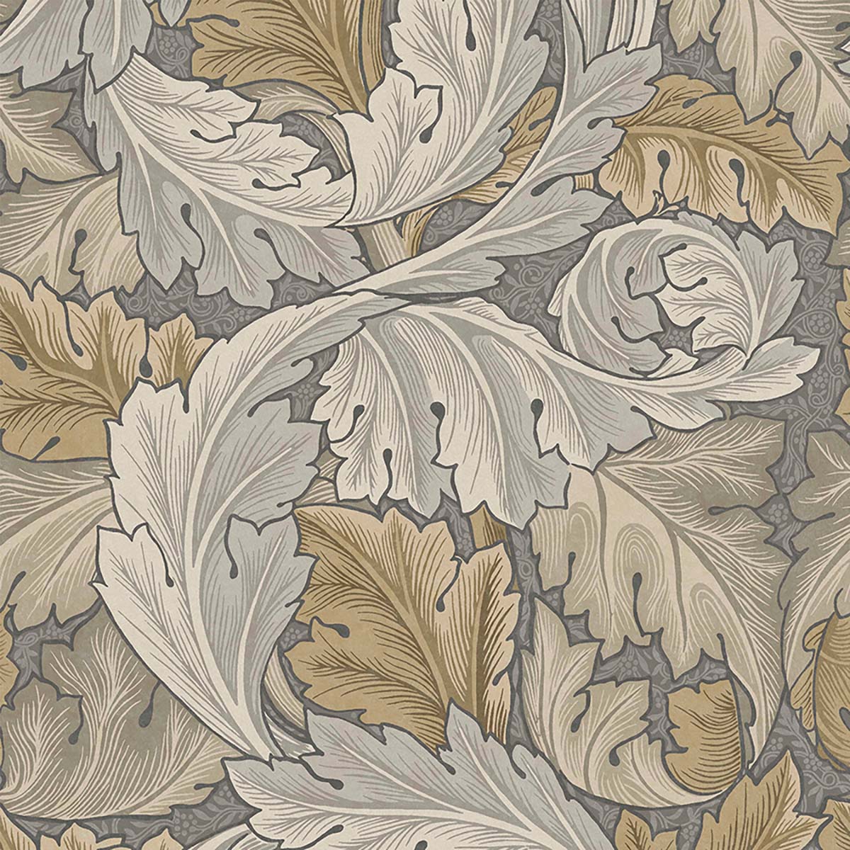 Acanthus