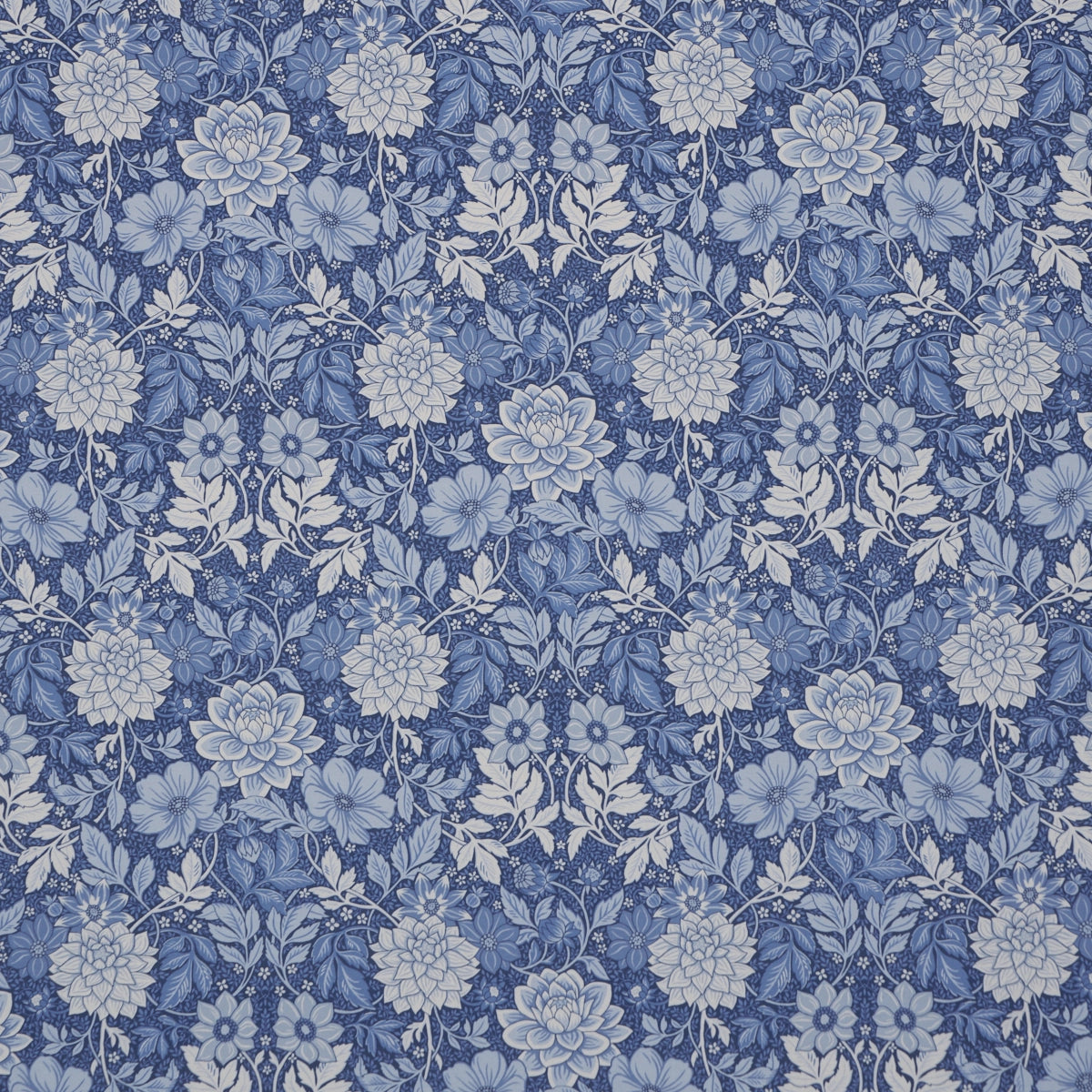 Dahlia Garden Print