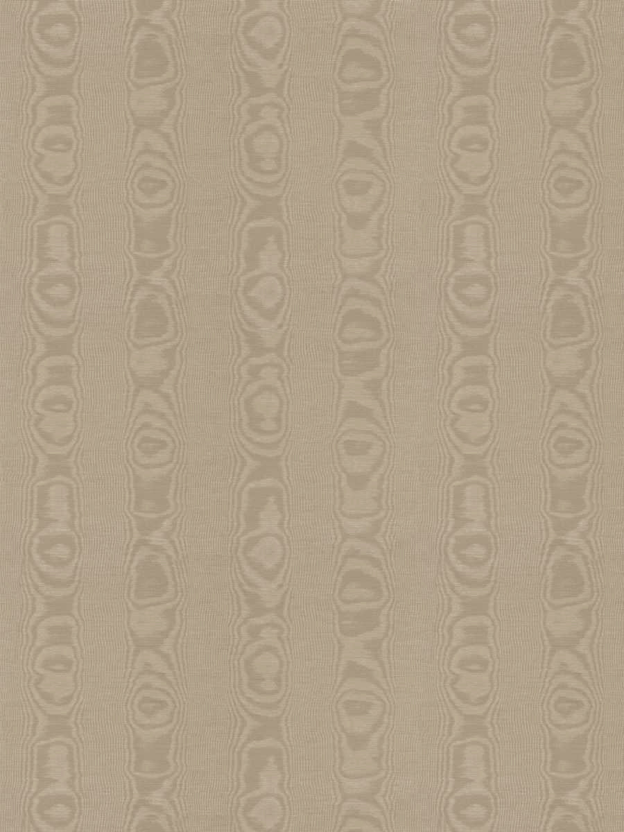 Belleville Moire Cotton Taffeta