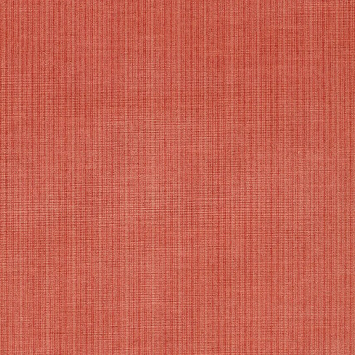 Antique Strie Velvet