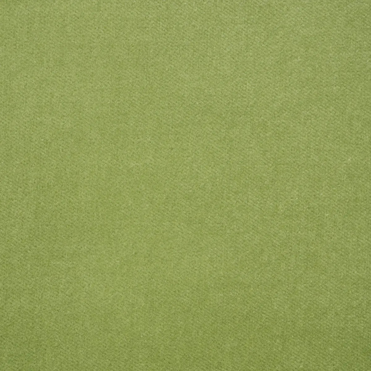 Rocky Performance Velvet