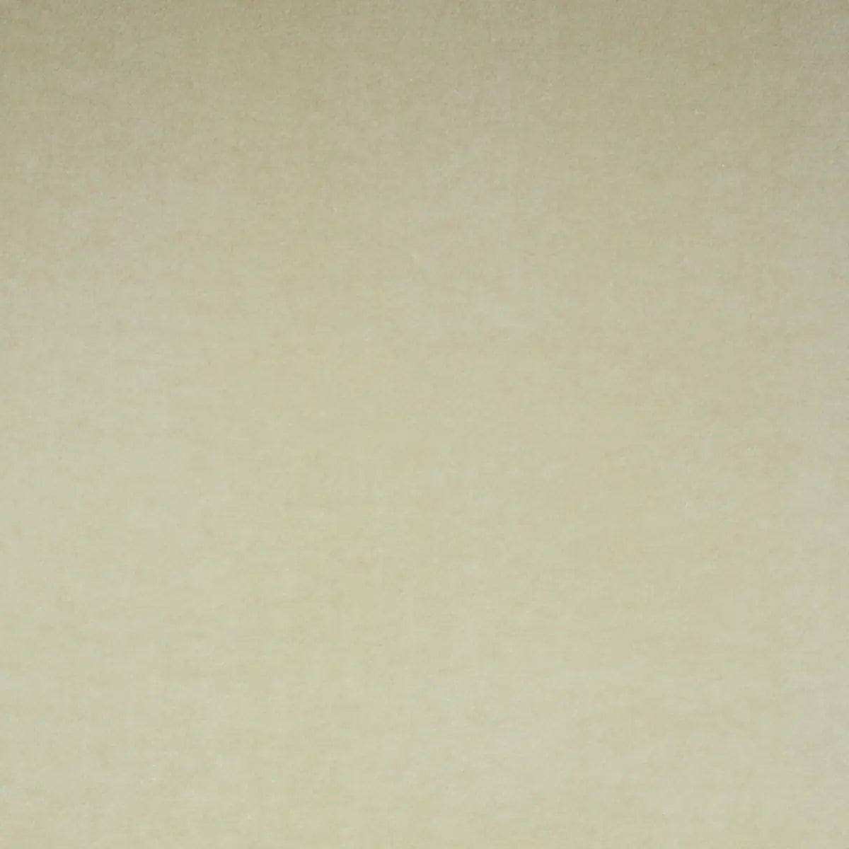 Rocky Performance Velvet