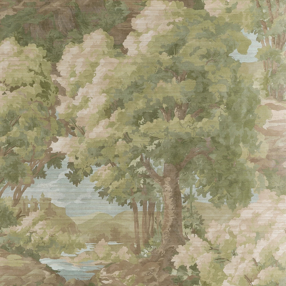 Woodland Clearing